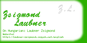 zsigmond laubner business card